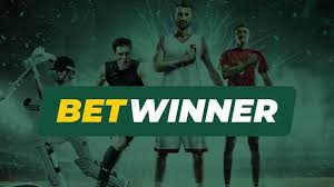 BetWinner Online Betting Platform Your Guide to Winning Bets